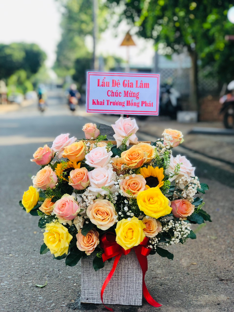 Mẫu bó hoa sinh nhật tại 	Thị trấn Mỹ Thọ	 Cao Lãnh	Đồng Tháp